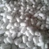 Silkworms 100% Natural for skin care and cut silk cocoon