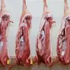 /product-detail/frozen-halal-goat-meat-lamb-meat-sheep-meat-beef-50037716334.html