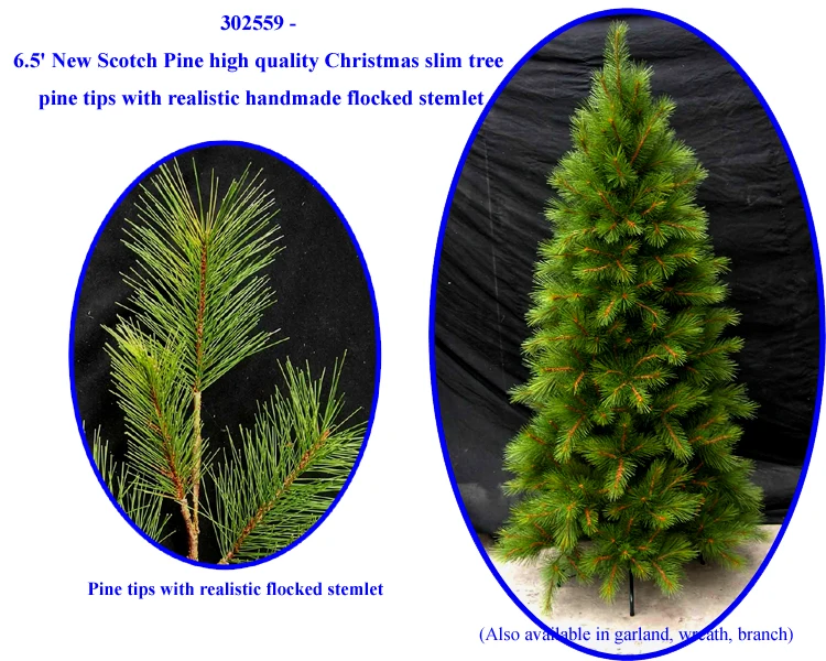5" new scotch pine high quality visually impressed christmas