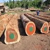 Sell African Hardwood Timber logs Iroko, Doussie, Mahogany, Sapeli, Padauk, Tali