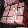 Copper Cathodes 99.99% Purity in Copper / Copper Scrap for Sale