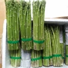 /product-detail/fresh-asparagus-high-quality-for-exporting-2019-50042625280.html