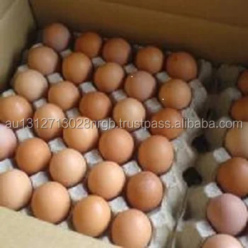 Farm Fresh Chicken Table Eggs,White Chicken Eggs, Brown Chicken Eggs