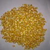/product-detail/best-quality-dried-style-yellow-corn-dry-maize-for-animal-feed-best-price-62000852062.html
