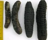 Dry Black Lolly Sea cucumber from Sri Lanka 100% Sundry 90 ~ 95% dryness
