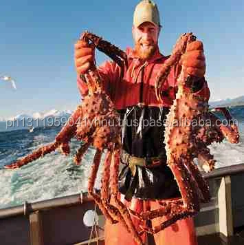 king crab