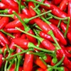Fresh premium Thai Chilli, Chili,Red Chili peppers, Thai spies