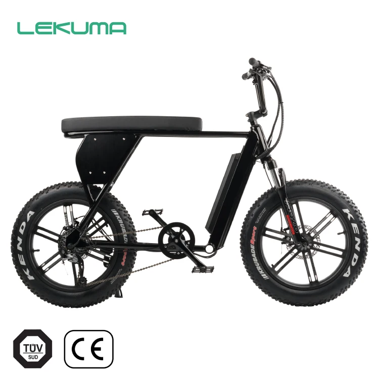 electric bike with removable battery