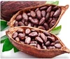 /product-detail/cocoa-beans-62002861265.html