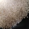 Vietnam Calrose rice, Japonica round rice, camolino japonica rice