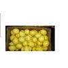 Baby mandarin tangerine orange/ tangerines wholesale and lemon