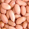 Factory Price Best Deals New Crop 2018 Peanut Kernels Size 35/40 40/50 50/60 60/70 80/10, Jumbo peanut kernel 24/28 price