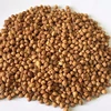 Quality And Dried Chickpeas Seed