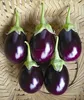 /product-detail/eggplant-seeds-maruti-black-beauty-for-iran-islamic-republic-of--50036608574.html
