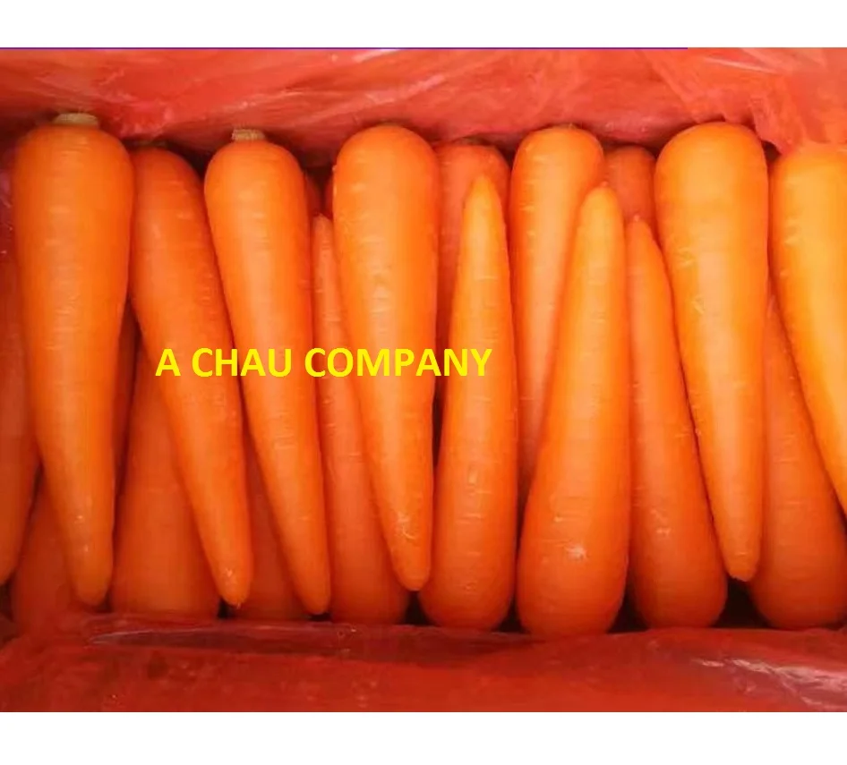 2018 fresh carrots