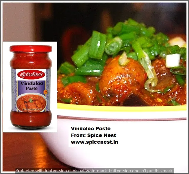 vindaloo curry paste