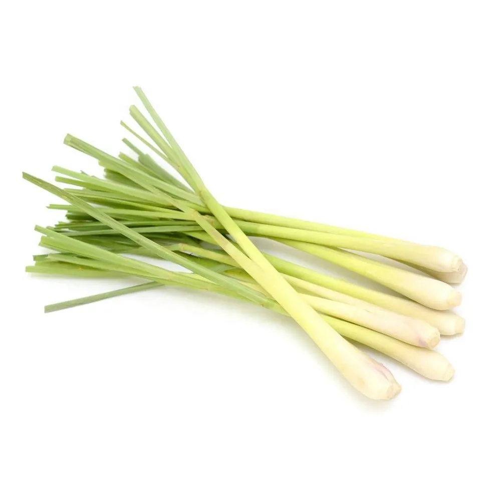 frozen lemongrass minced - best price _ from viet