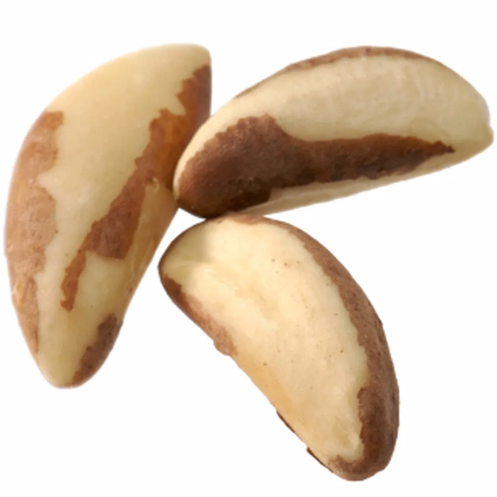 brazil nut,money market brazil nuts raw