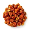 /product-detail/from-peru-quality-supplier-fresh-high-quality-golden-berries-dried-wholesale-124295284.html