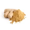 /product-detail/hot-sell-dried-fresh-frozen-powder-ginger-best-price-with-high-quality-50042202274.html