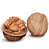 /product-detail/walnut-without-shell-light-half-kernel-50034670206.html
