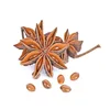 /product-detail/100-pure-natural-anise-oil-from-iran-62009036605.html