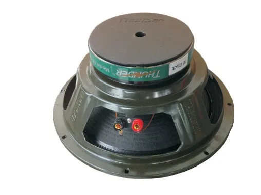 Speaker 12 inch 30 Black Thunder - ANKUX.COM