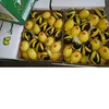 fresh lemons for sale,lemons in bulk,wholesale lemons