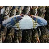 /product-detail/frozen-blue-swimming-crab-blue-crab-50038937537.html