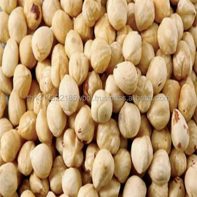 blanched hazelnuts/ hazelnuts inshell & kernels/ organic hazel