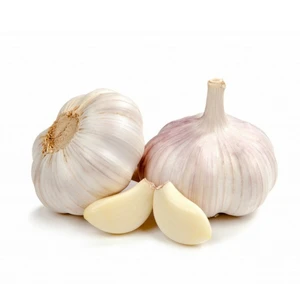 red garlic purple garlic