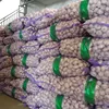 2019 New Crop Normal White Fresh Garlic for Sale