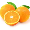 Fresh Oranges Fresh /Citrus Fruits /Valencia High Quality..