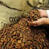 /product-detail/high-grade-sun-dried-cocoa-beans-62007380691.html