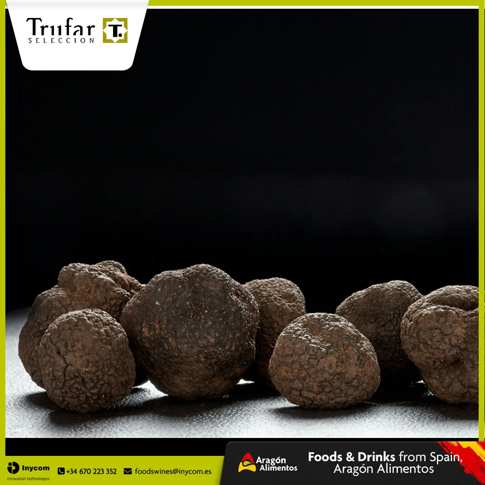 Tuber Brumale Truffles from Spain Producers | TRUFAR Seleccion