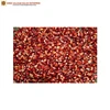 Good Quality Best Selling Natural Organic Red Maize Corn for Bulk Purchase