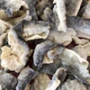 FRIED DRIED FISH SKIN/ DELICIOUS FRIED DFISH SKIN SNACK