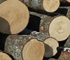 Grade Pine, Spruce and Red Meranti Sawn Timber logs for sale