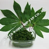 /product-detail/iqf-cassava-leaves-raw-washed-high-quality-with-competitive-price-50039597580.html