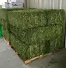 /product-detail/quality-alfafa-hay-for-animal-feeding-stuff-alfalfa-alfalfa-hay-alfalfa-hay-f-62001332621.html