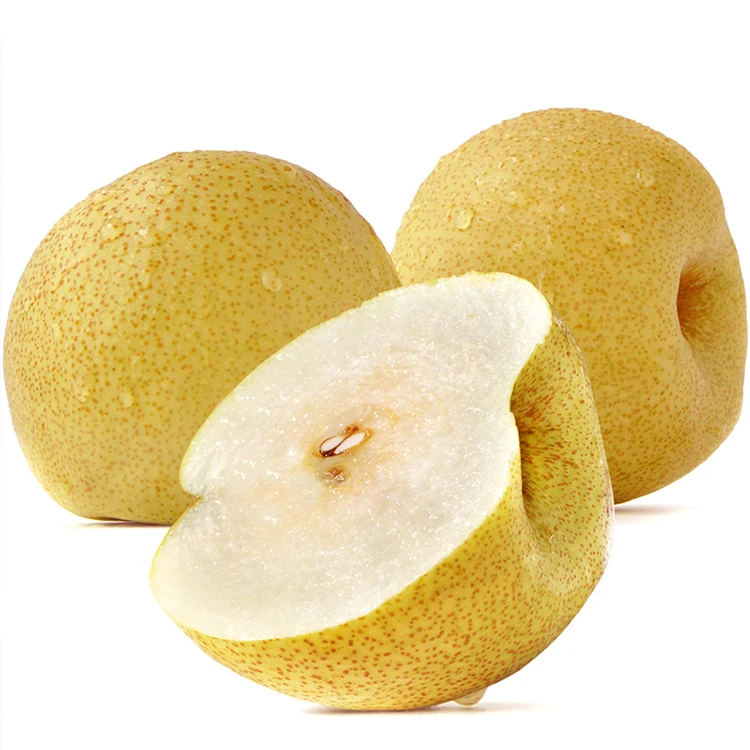fresh pear hosui pear/ fengshui pear