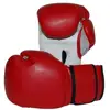Extreme Fitness MMA Boxing Gloves