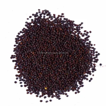 highest grade organic black mustard seeds | brown