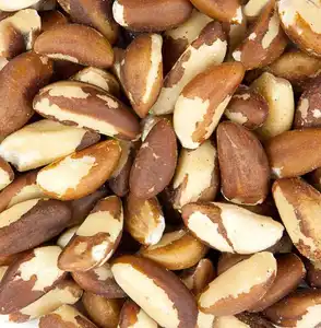 brazil nuts supplier