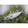 Japanese Frozen Fish Mackerel 100-200g With Good Price