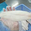 wholesale Fresh basa/catfish/Pangasius bocourti From Vietnam