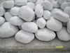 White Pebbles / Natural Stone / Tumbled Dolomite for Landscape and Garden Decoration