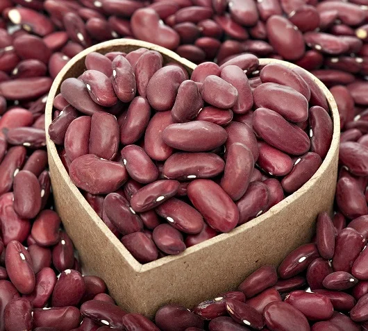 Red Kidney Beans / Black Kidney Beans