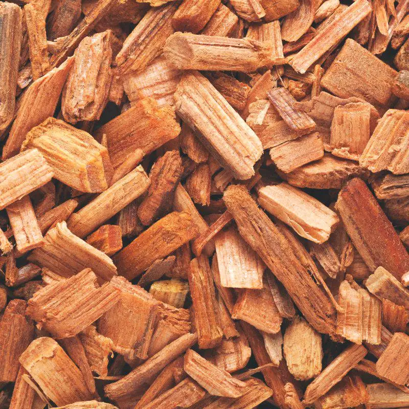 Copeaux de bois de pin/pulpe D'eucalyptus copeaux de bois