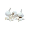 /product-detail/oem-supply-natural-fresh-garlic-at-wholesale-price-50045795682.html